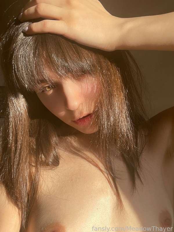 meadowthayer image #0