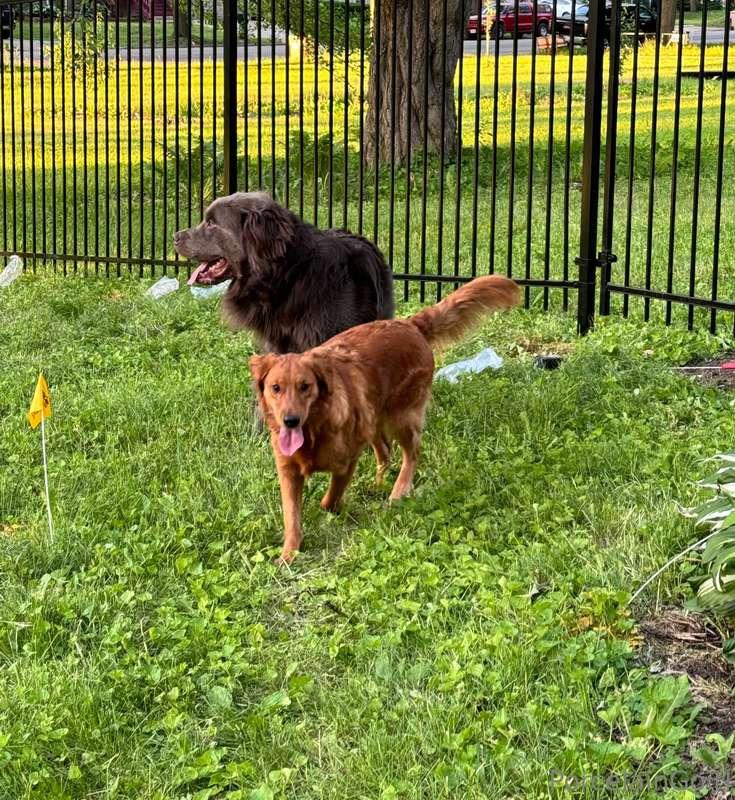 The cuties are out in the sunnnnn 🌻