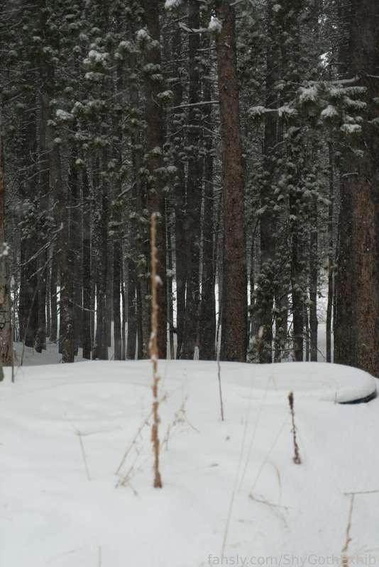 Can you spot me wandering around in the forest?