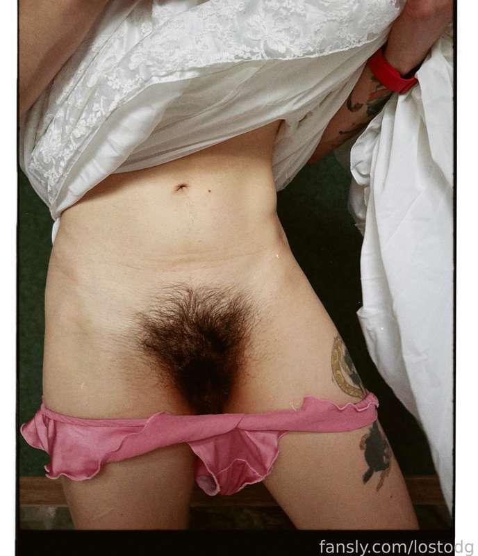 lostodg image #2