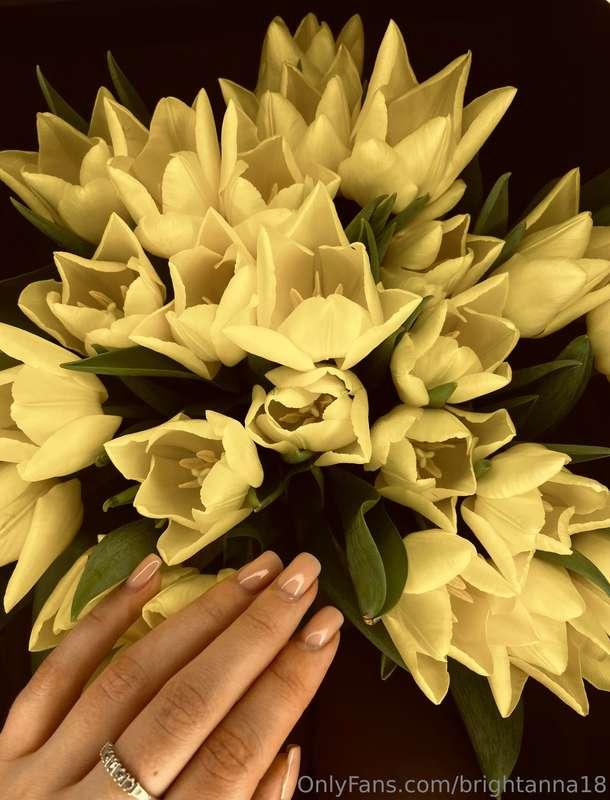 brightanna18 image #2