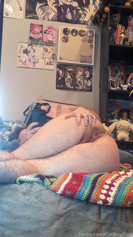 catboyzion image #11
