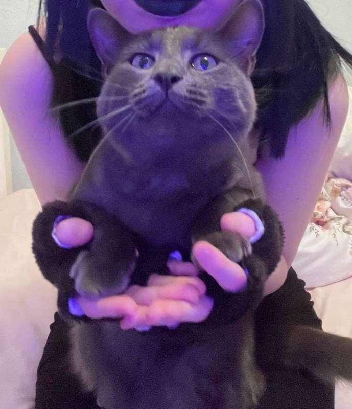 daily post 🐈 