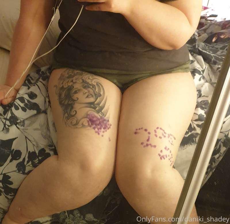 chubby_little_kitty image #0