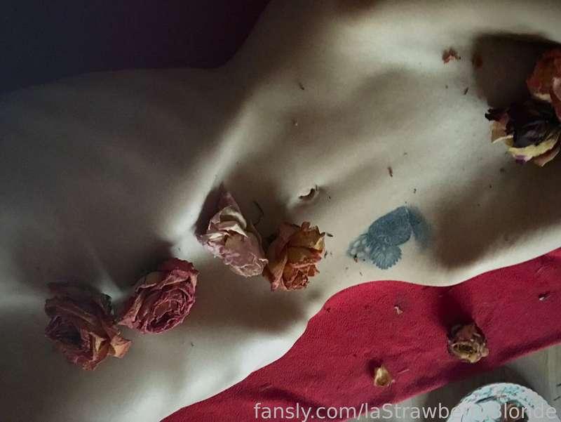 lastrawberryblonde image #6