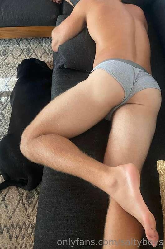 Dear OF Moderators: this is my partner. He is not sleepingx...