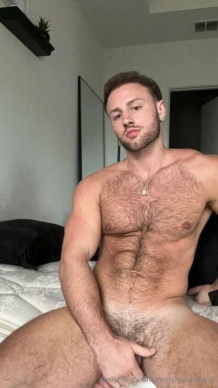reilly.goldenvip main image