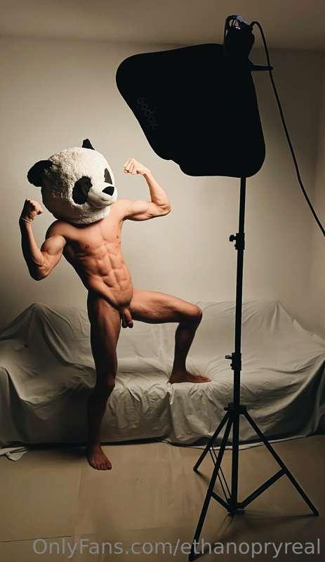 ***Do you want me to introduce you to the wild animal world?..