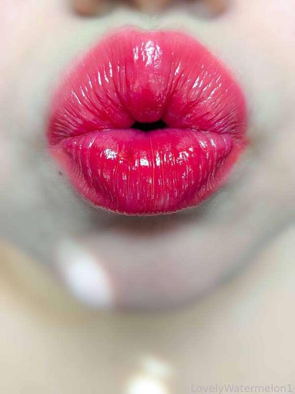 lovelywatermelon1 image #13