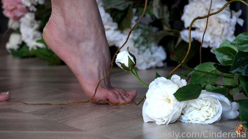 cinderellastory image #0