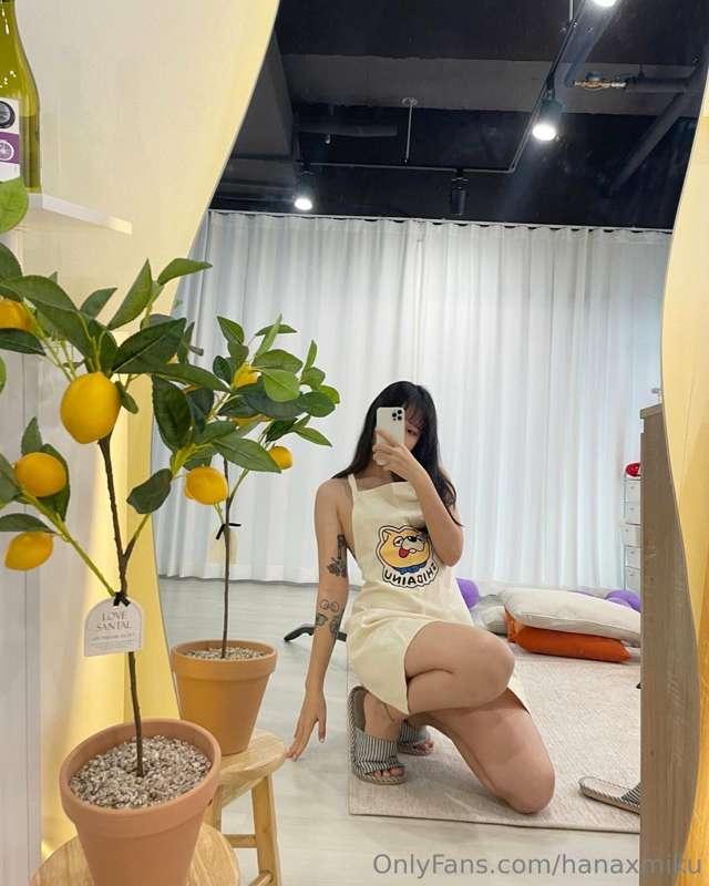 🍋🍋🍋