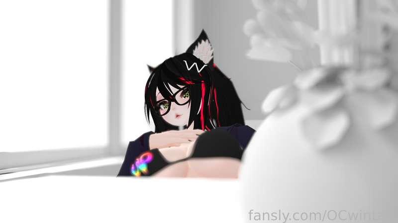 ocwintair image #3