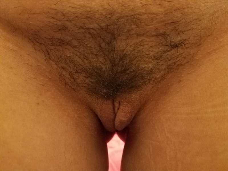 Bush update