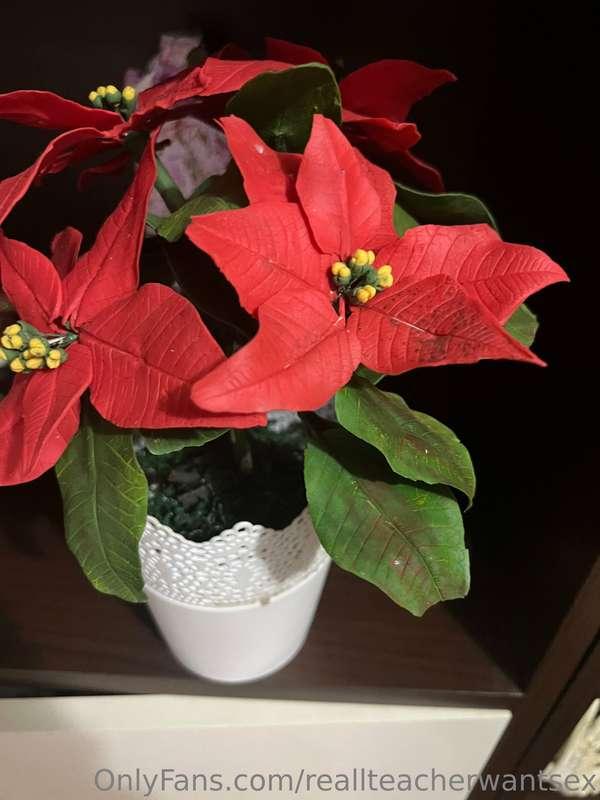 Hi ,, this flower is made from porcelain..you like?