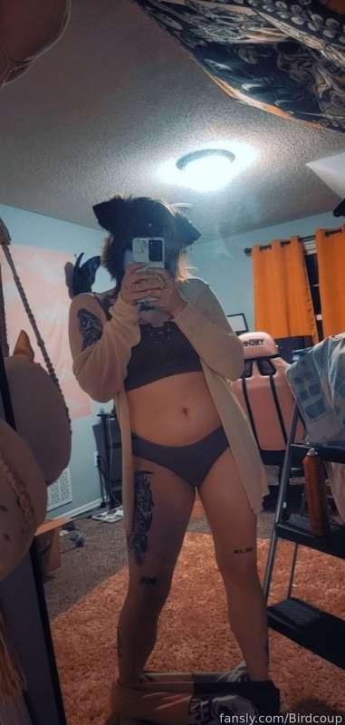 coophound image #1