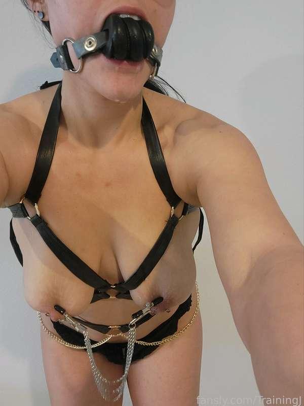 trainingj image #0