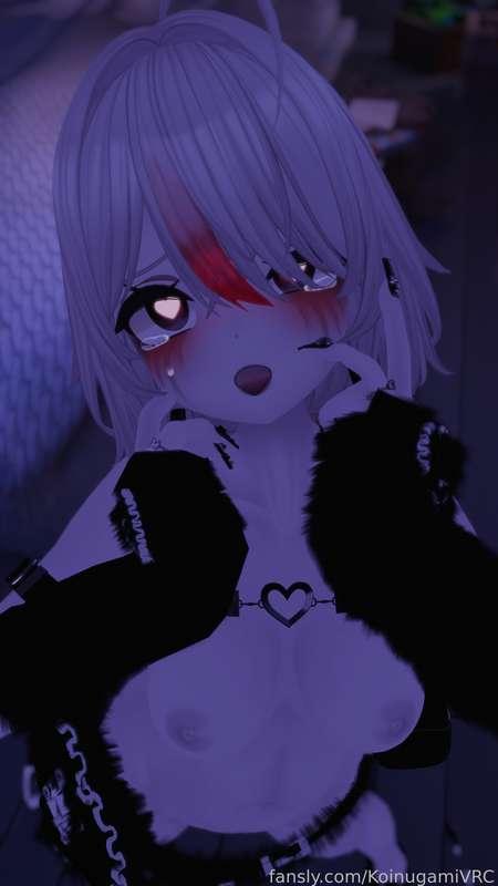 ashigamivr image #5