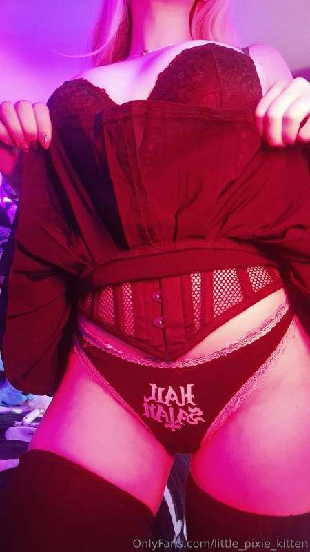 little_pixie_kitten image #5