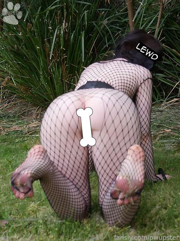 pwupster image #6