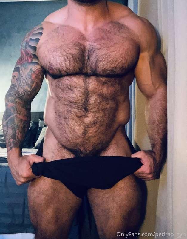 pedrao_gyn image #1