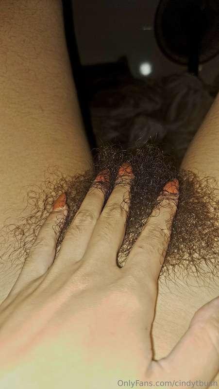 cindytbush image #0