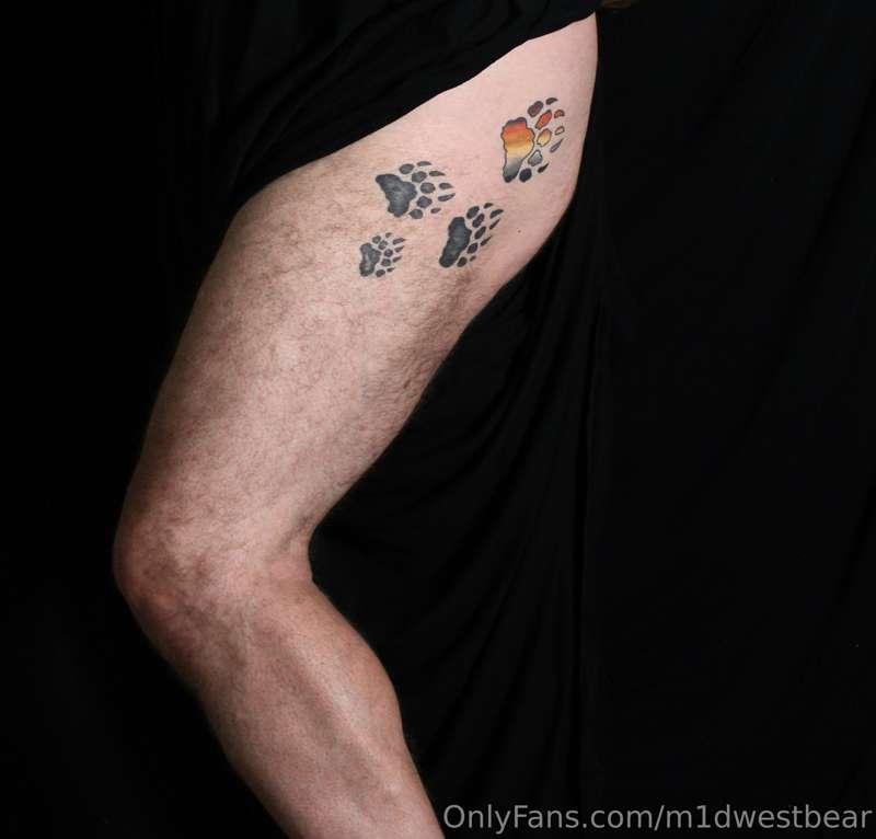 m1dwestbear image #7