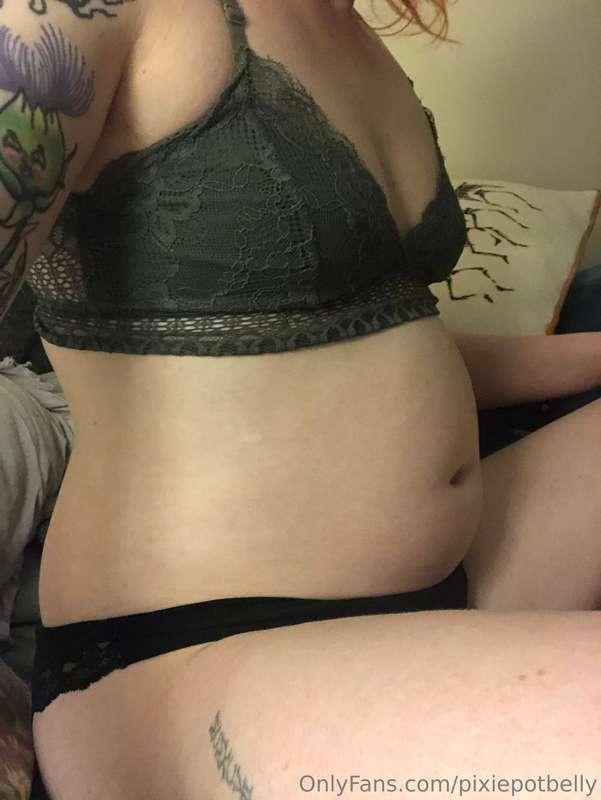 pixiepotbelly image #1