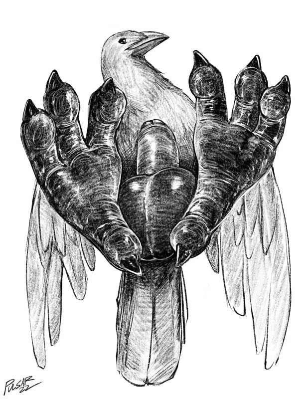 Crow's Feet
