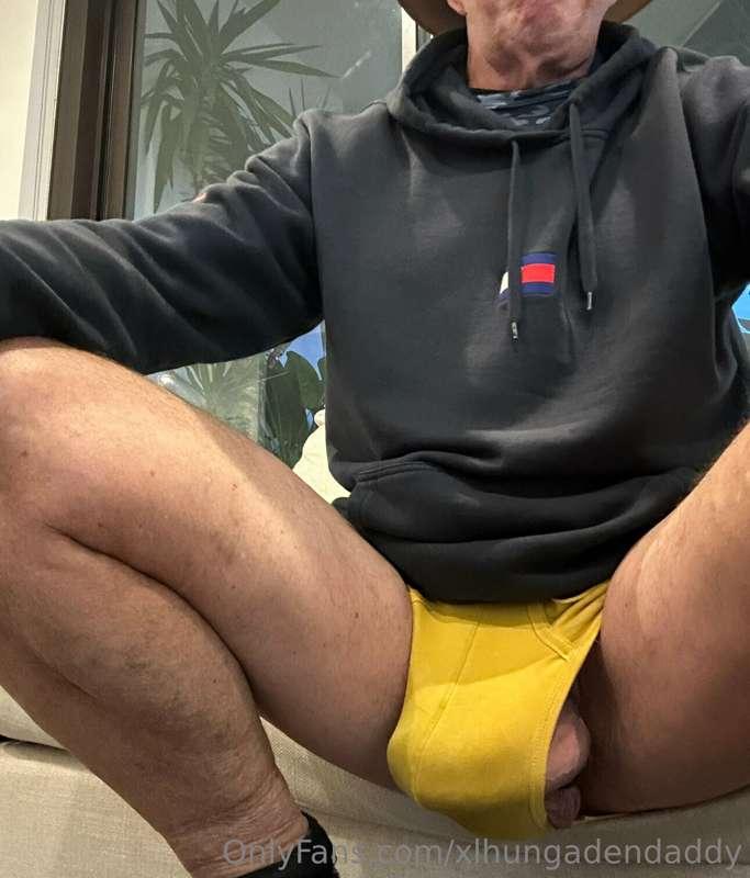 A gallery of pics of the battle between between my yellow un..
