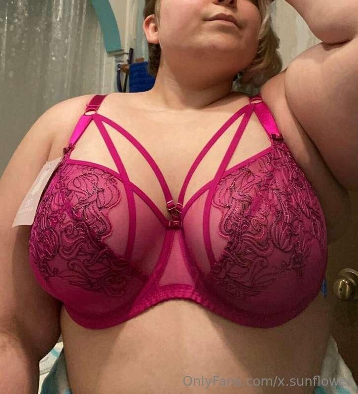 (2/4)