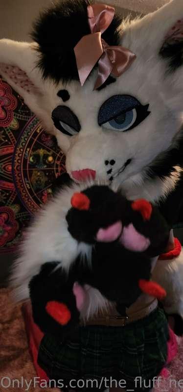 the_fluff_nextdoor image #9