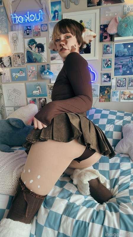 indigowhite image #72