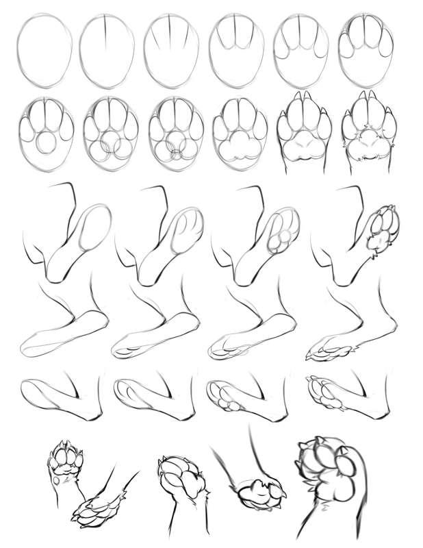HD DEMO - How to Draw Paw Pads