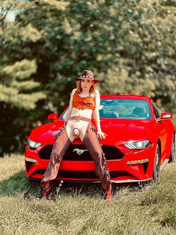 shiriallwood image #1