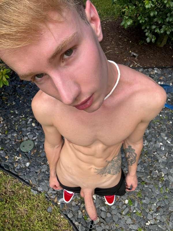 tommy_milk image #1