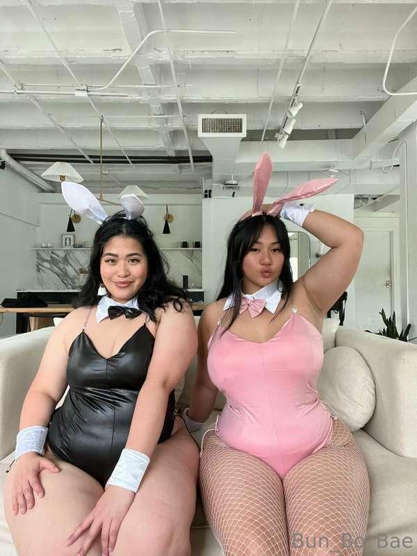 🐰🐰