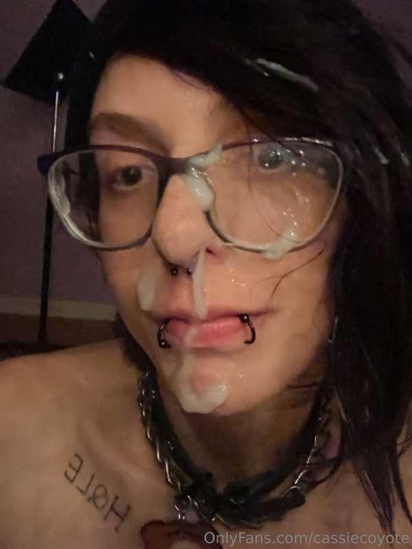 cassiecoyote image #1
