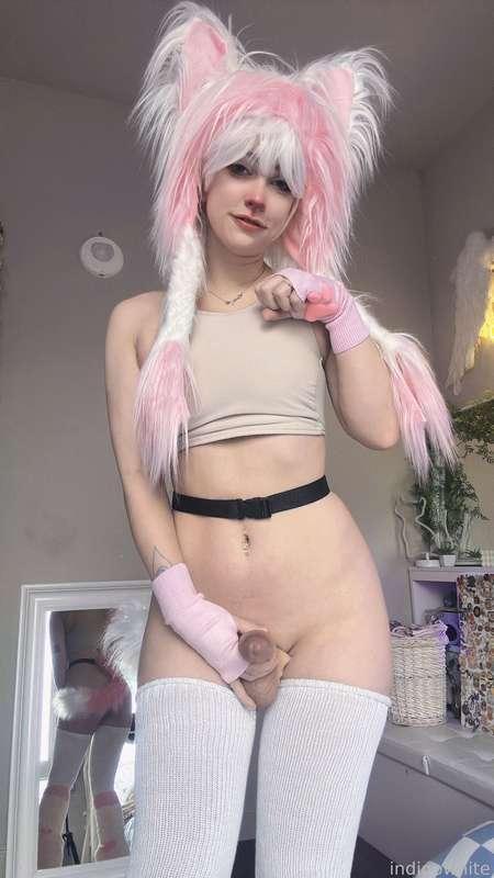 indigowhite image #239