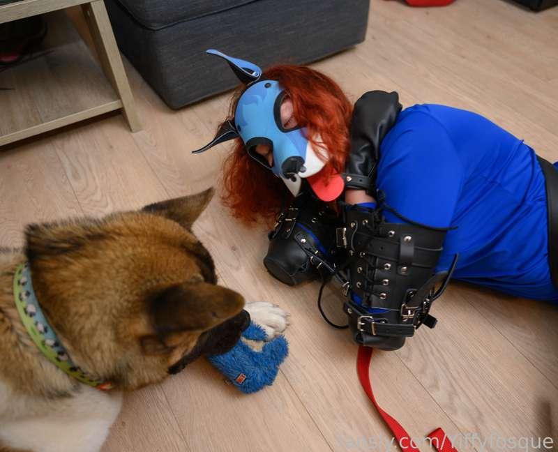 yiffyfosque image #3