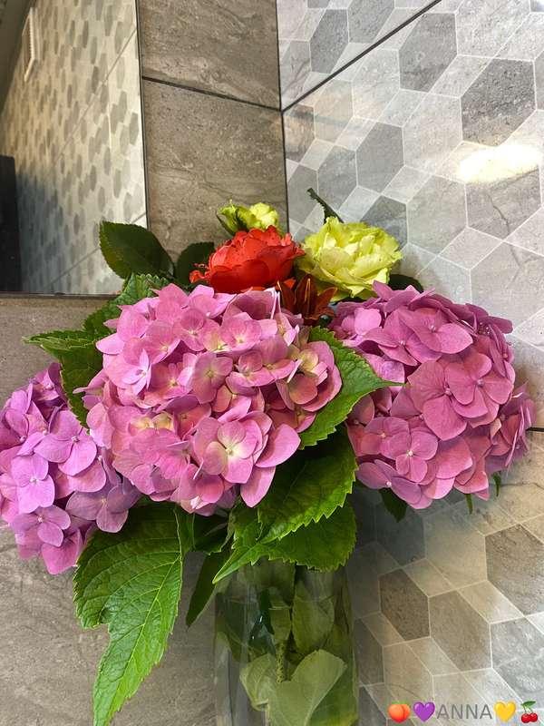 anna_love66 image #0