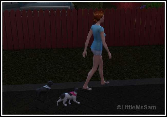 New Mod "Go for a walk with more Pets (Rabbitholes)"