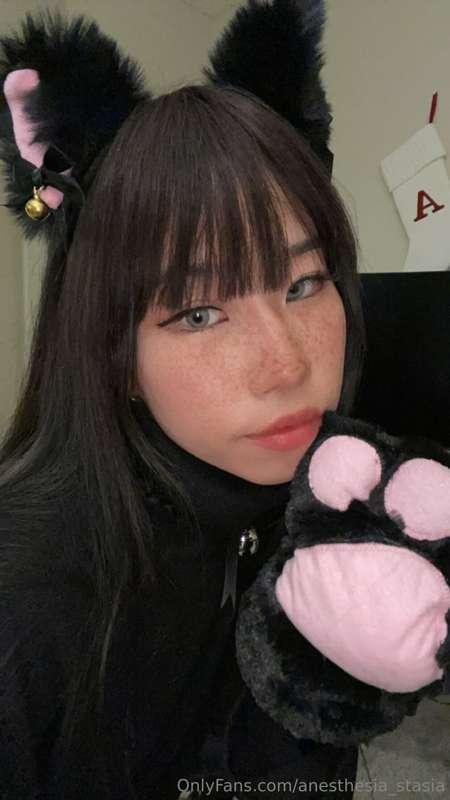 ฅ^•ω•^ฅ❤️