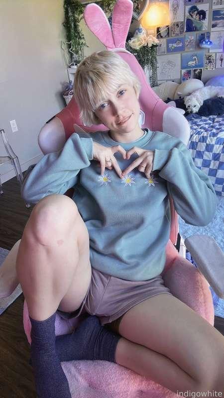 indigowhite image #4