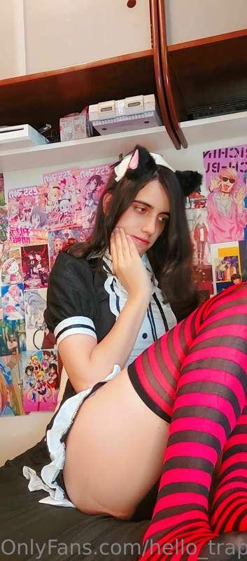 hello_trap image #1