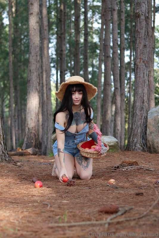 🍎 🧺