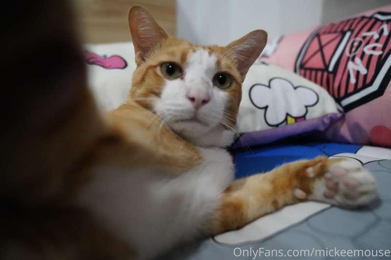 ถ้าจะดูดคลิปไปลง ช่วยใส่เครดิตให้กูด้วยคร้าา ไม่ใช่เอาไปบอกม..