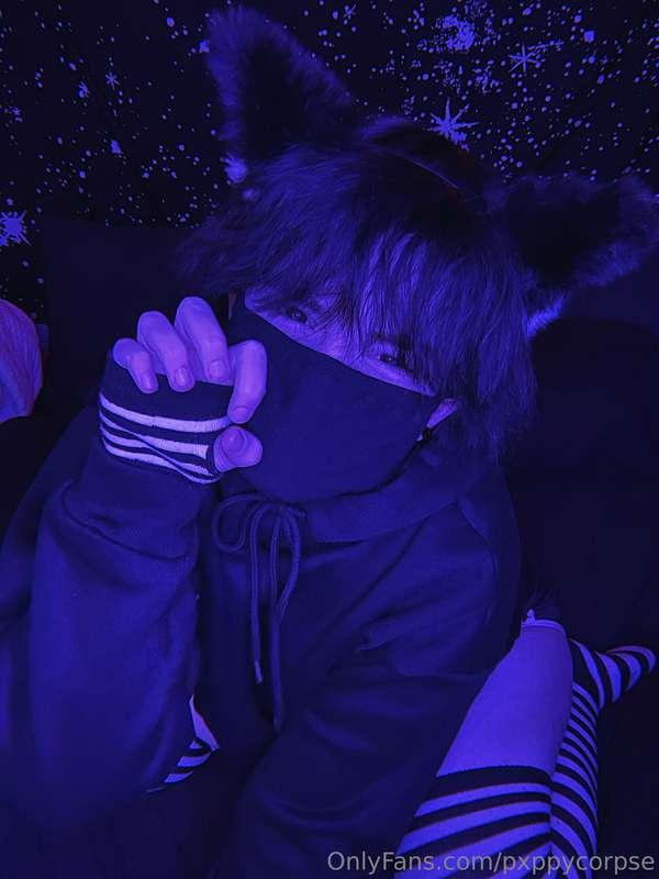 pxppycorpse image #2