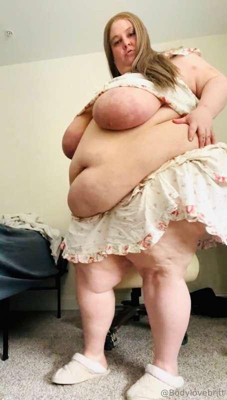 Fat pig 
