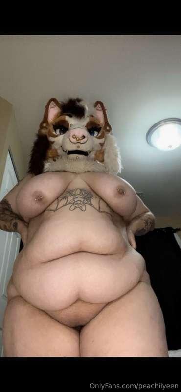 For all the belly lovers