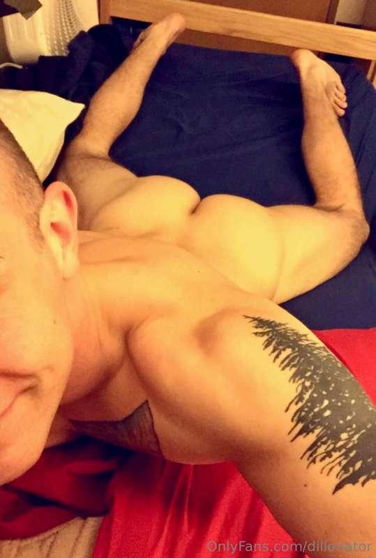 dillonator image #5